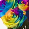 10 roses arc-en-ciel