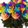 10 roses arc-en-ciel