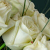 10 roses blanches - Avalanche