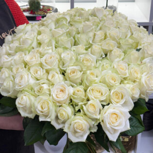 10 roses blanches - Avalanche