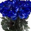 10 roses bleues