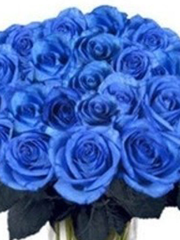 10 roses bleues