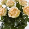 10 roses couleur saumon - Avalanche Peach