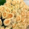 10 roses couleur saumon - Avalanche Peach