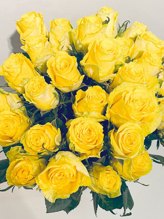 10 roses jaunes