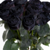 10 roses noires