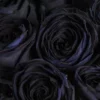 10 roses noires