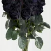 10 roses noires