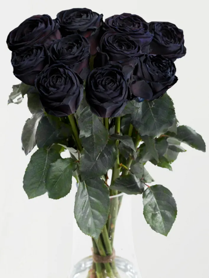 10 roses noires