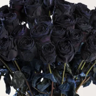 10 roses noires