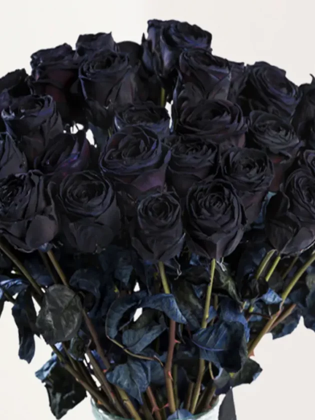 10 roses noires