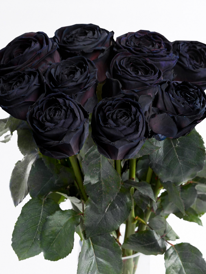 10 roses noires