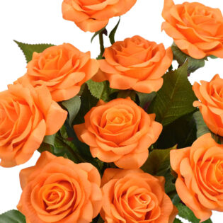 10 roses oranges