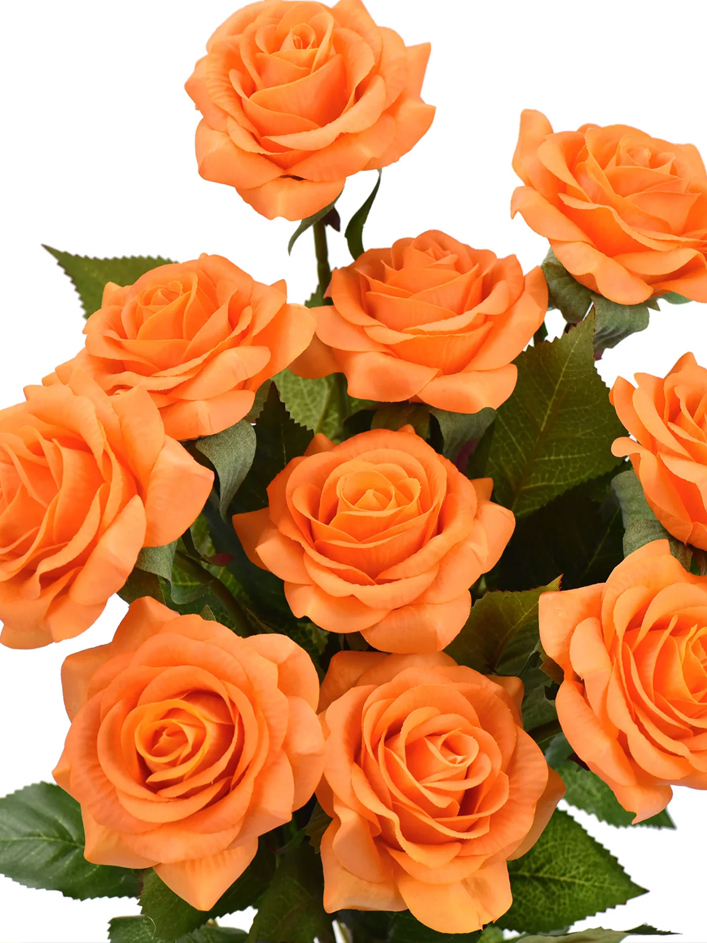 10 roses oranges